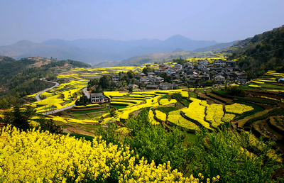 打造农家乐休闲旅游业升级版