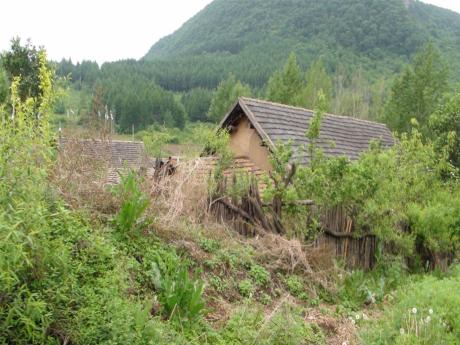 辽宁 驻村帮扶 精准“拔穷根”