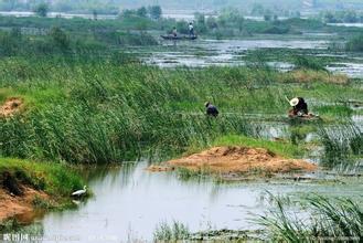 长江中游70％湿地已消失 全流域整体保护刻不容缓