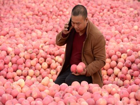 阿里年货节推出陕西等地专场  “上行”地道好货