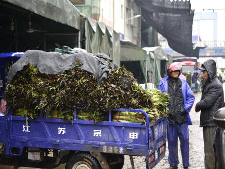 “三天不进菜，供应也无忧！”——南昌农产品批发市场见闻