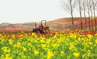 春耕，正在构建别样图景