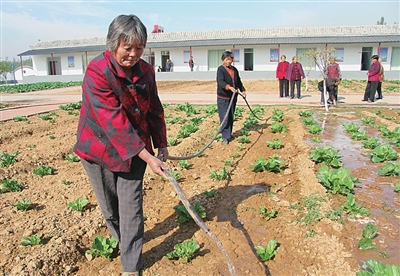 养老离家不离村　穷村富村都能建