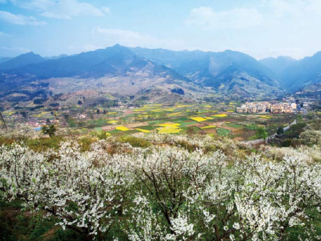 四川彭州——乡村风景独好