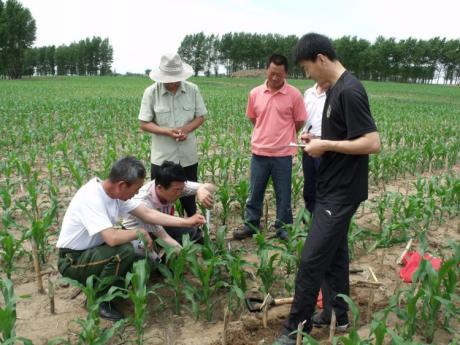 吉林长岭：调结构不能让农民吃亏