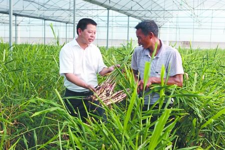 70余万名“科特派”活跃在农村基层一线