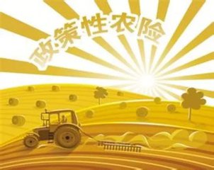 “双保险”打造农业升级版