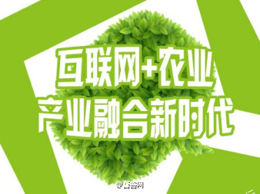 互联网+农业 解决多少问题,才能渐入佳境？