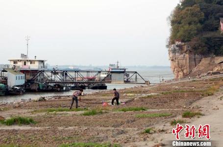 中国最大沙漠淡水湖红碱淖湖缩小近半 上下游互指责 