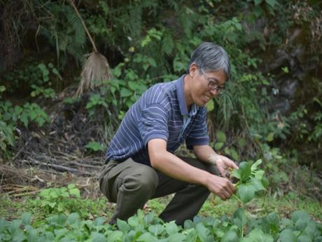 情满山乡应民心