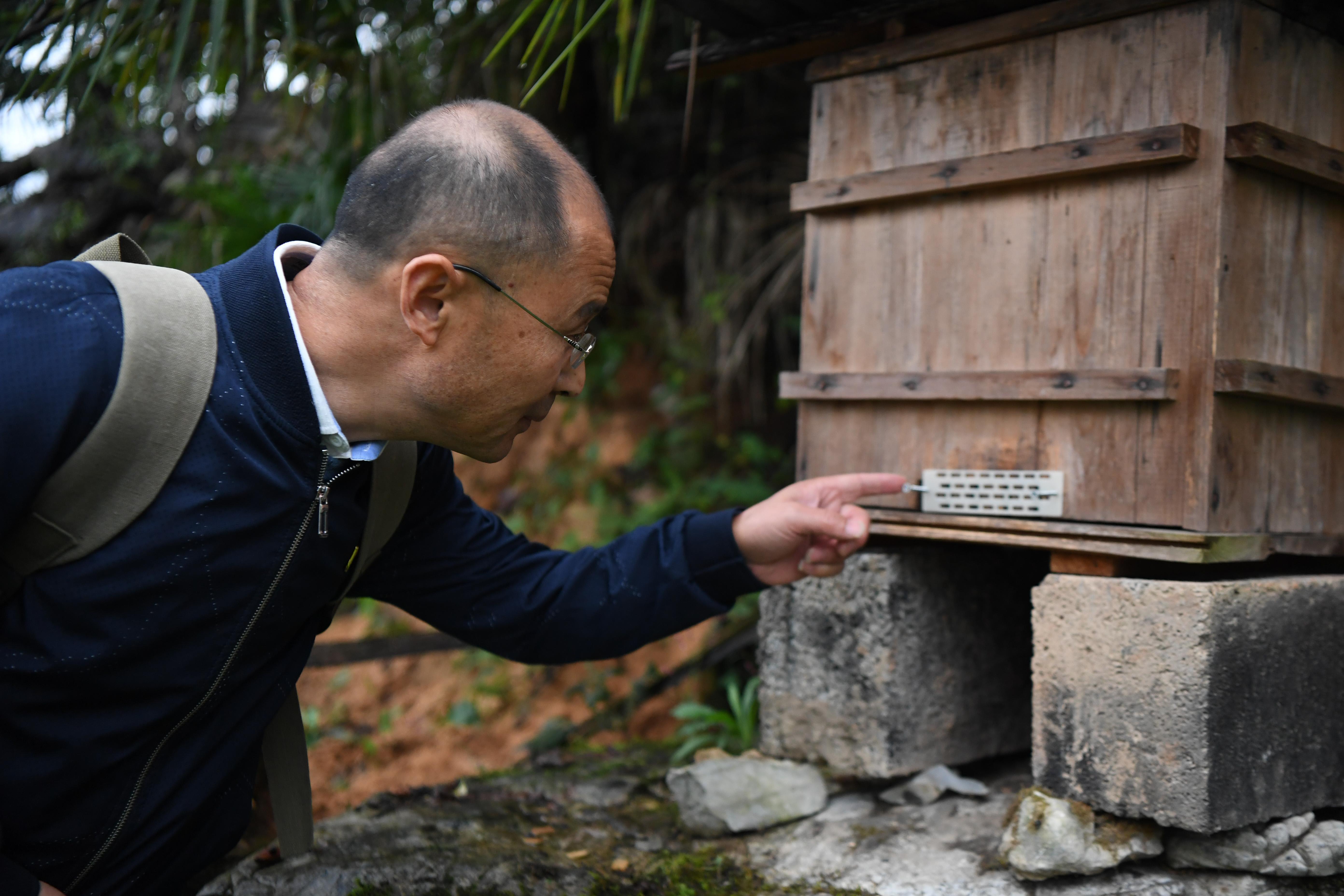 10月15日,张忠富在金河村走访时查看产业致富带头人邓先鹤家的蜂桶.