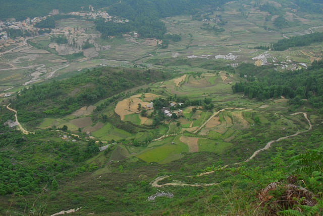 贵州贫困山区“生态饭”越吃越香