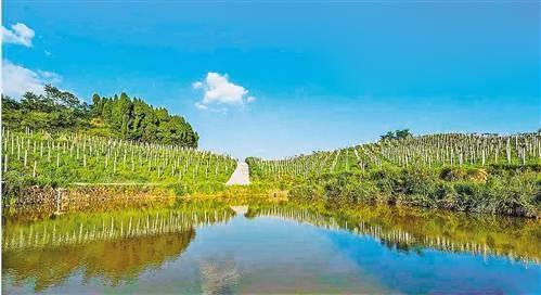 重庆部分农村“以水养水” 饮水自治管护模式破解管水难题