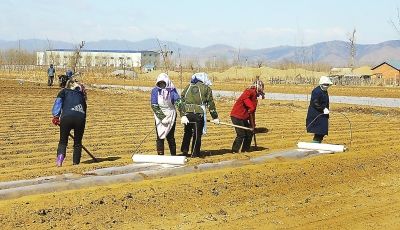 黑土地上三种春耕新“味道”