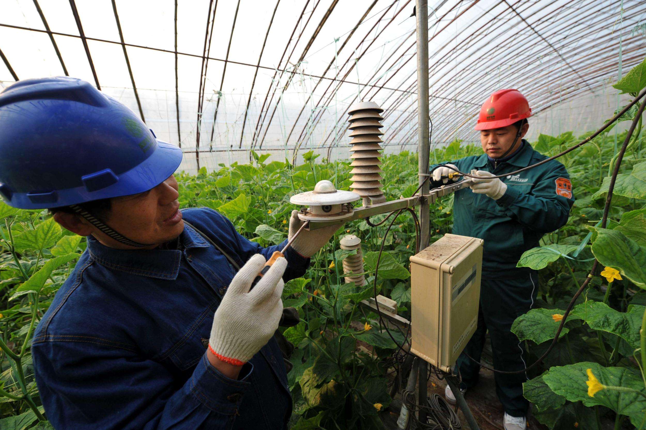 <p>手机种菜　蚯蚓复活　菜农抱团</p><p>——中国菜篮子的供给侧改革样本</p>