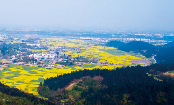 彭州乡村旅游产业 转型升级提质增效