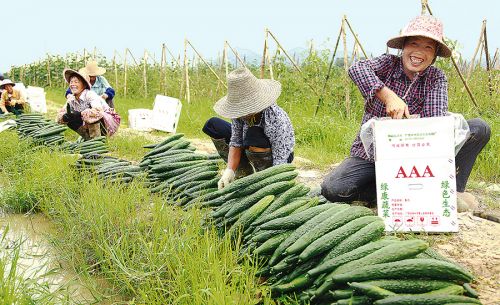 影响土地承包关系稳定因素分析