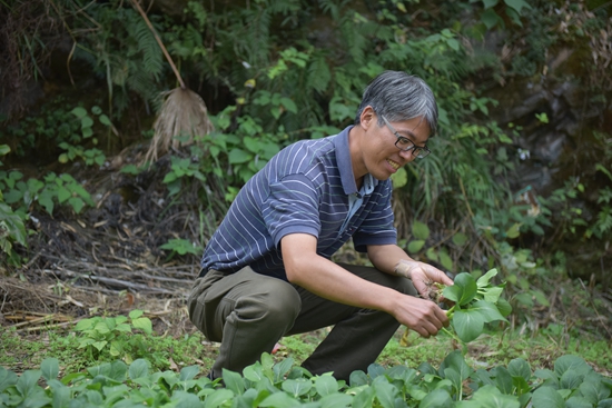 情满山乡应民心