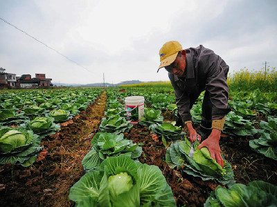 千方百计“让农民钱袋子鼓起来” 