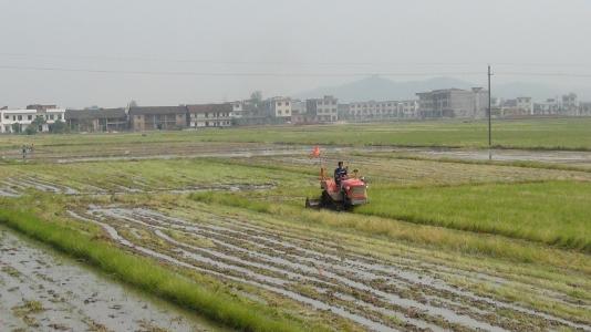 非主产区一家粮食合作社真观实感