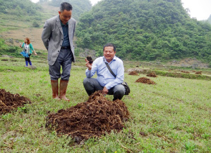 广西有机农业的“擎旗人”——记广西生态有机联合会会长陆家逸