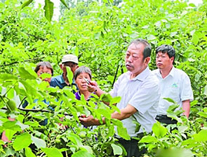 河北农大教授李保国：30年带动10万太行农民奔小康