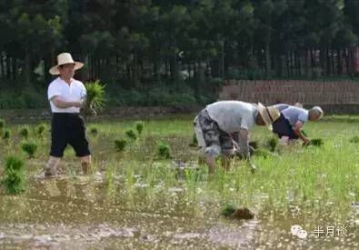 退休官员变身新乡贤 南昌市原市长还乡做农夫