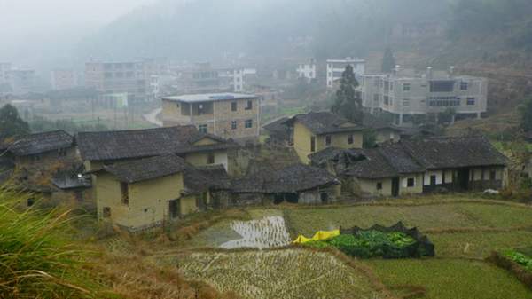 生命在脱贫战场燃烧——追记四川广元市昭化区南斗村原党支部书记张绍清