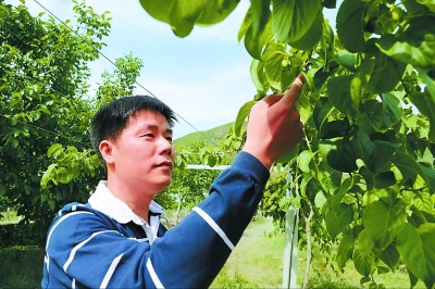 沈镇：恋上“拇指姑娘”的金融男