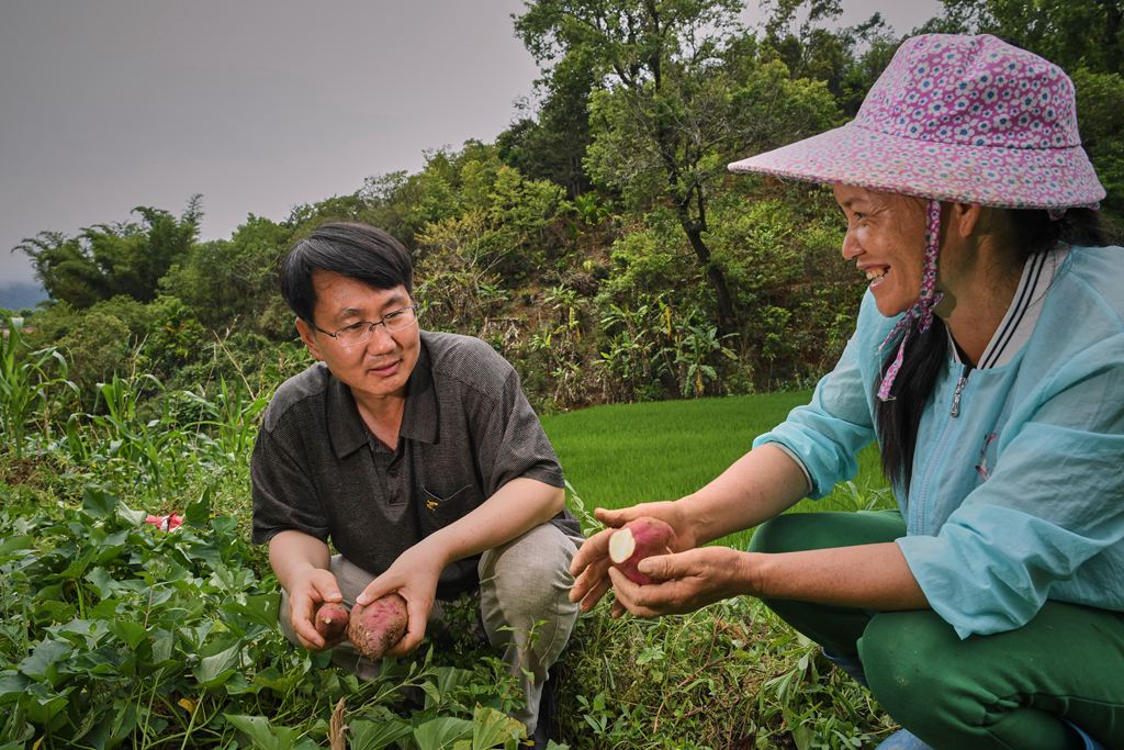 精准扶贫让五指山苗寨从脱贫摘帽到美丽乡村