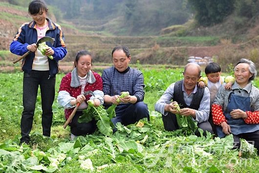 家庭农场是农业经营方式的主流方向