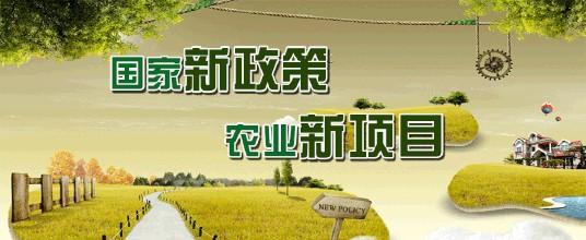 2017农业项目扶持政策来了!10万、100万…