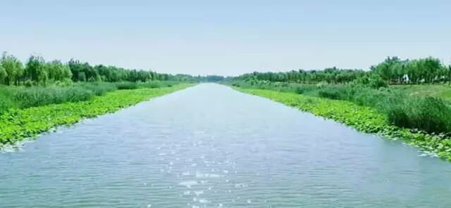 河北威县 土地确权破解河道治理之困