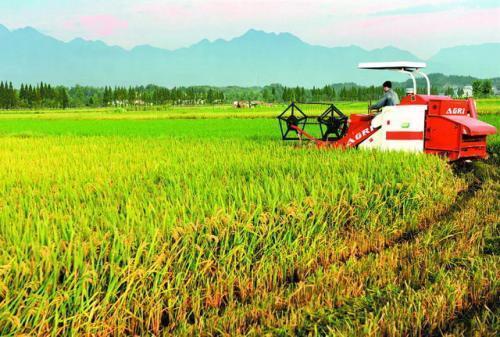 安徽力争３年完成粮食“两区”地块划定任务