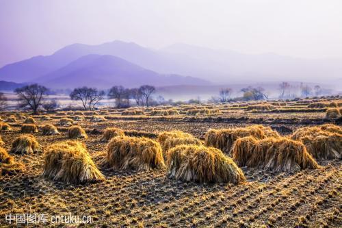 深化改革破梗阻　长短结合兴产业