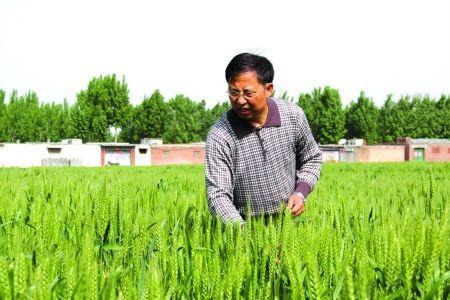 茹振钢：把中国人的饭碗牢牢端在自己手中