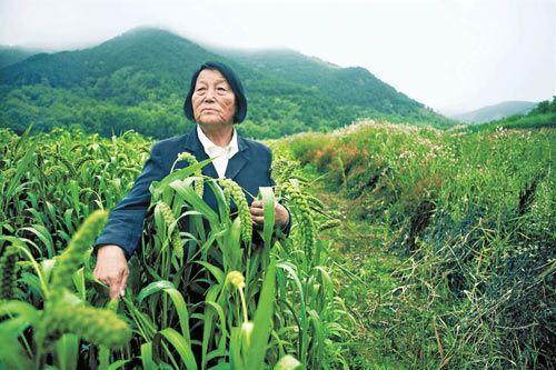  申纪兰：不忘初心，把根永远扎在农村大地上