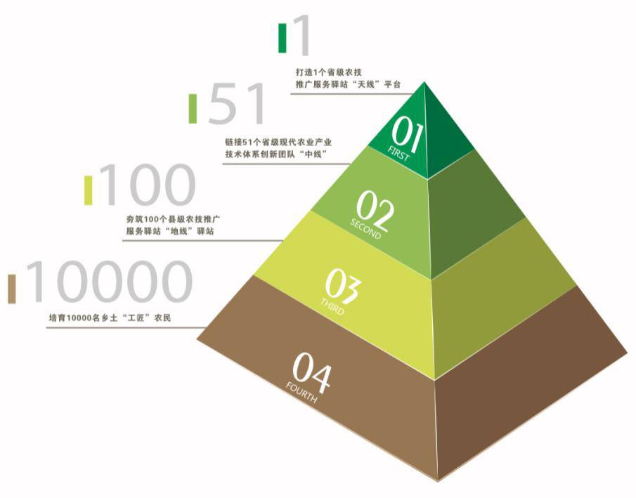 行行出状元：粤现超百万年薪技术农民