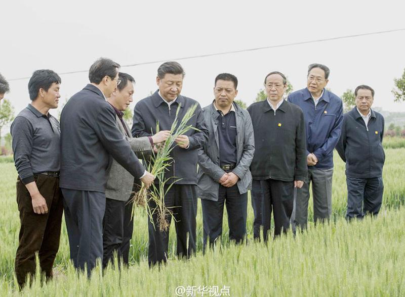 习近平：重农固本，全党工作重中之重